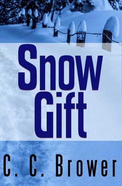 Snow Gift - Short Fiction Young Adult Science Fiction Fantasy, #4