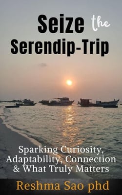 Seize the Serendip-Trip: Sparking Curiosity, Adaptability, Connection &amp; What Truly Matters - Meaningful Life, #3