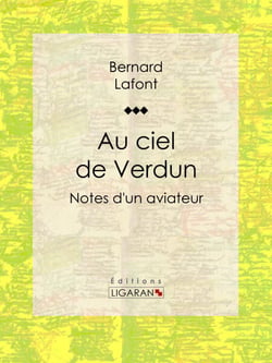 Au ciel de Verdun - Notes d'un aviateur