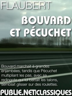 Bouvard et Pécuchet - Bouvard marchait à grandes enjambées, tandis que Pécuchet multipliant les pas, avec sa redingote qui lui battait les talons, semblait glisser sur des roulettes.