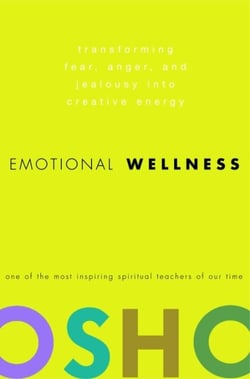 Emotional Wellness - Transforming Fear, Anger, and Jealousy into Creative Energy