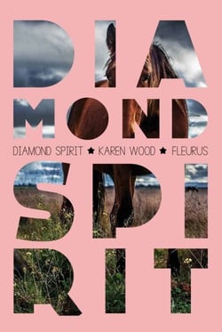 Diamond Spirit - Diamond Spirit (tome 1)