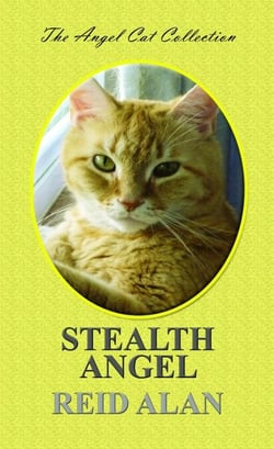 Stealth Angel - Angel Cat Collection, #7