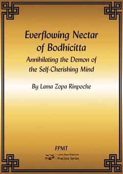 Everflowing Nectar of Bodhicitta eBook