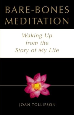 Bare-Bones Meditation - Waking Up from the Story of My Life