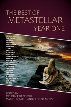 The Best of MetaStellar Year One - Best of MetaStellar, #1