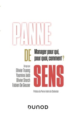 Panne de sens - Manager pour qui, pour quoi, comment ?