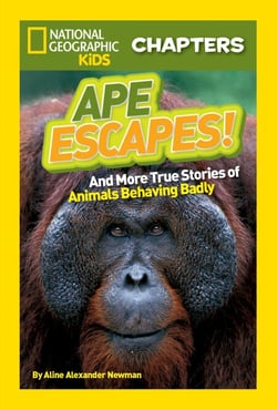 National Geographic Kids Chapters: Ape Escapes! - And More True Stories of Animals Behaving Badly