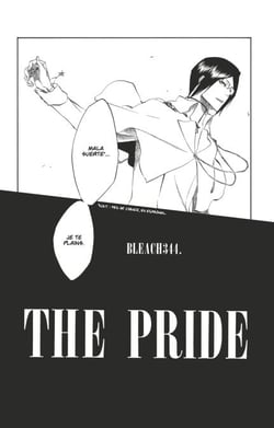 Bleach - T40 - Chapitre 344 - The Pride