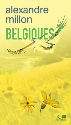 Belgiques - Tragi-comédies