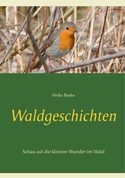 Waldgeschichten - Schau auf die kleinen Wunder im Wald