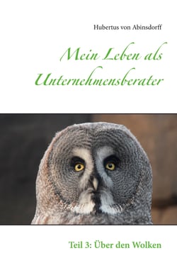 Mein Leben als Unternehmensberater - Teil 3: Über den Wolken
