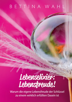 Lebenselixier: Lebensfreude! - Warum die eigene Lebensfreude der Schlüssel zu einem wirklich erfüllten Dasein ist