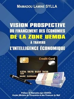 Vision prospective du financement des économies de la zone UEMOA à travers l'Intelligence Économique