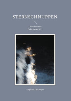 Sternschnuppen - Gedachtes und Gefundenes 2021