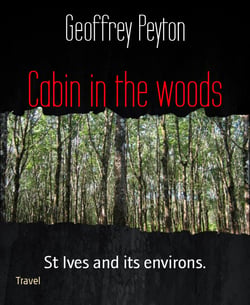 Cabin in the woods - St Ives and its environs.