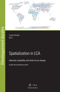 Spatialization in LCA - Interests, feasability and limits of eco-design - EcoSD Annual Workshop 2017