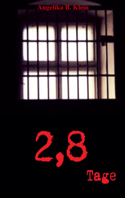 2,8 Tage - Thriller