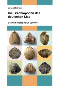 Die Brachiopoden des deutschen Lias - Bestimmungstipps für Sammler