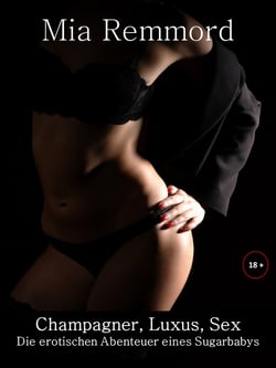 Champagner, Luxus, Sex - Die erotischen Abenteuer eines Sugarbabys