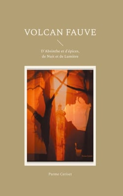 Volcan fauve - D'Absinthe et d'épices, de Nuit et de Lumière