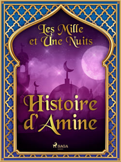 Histoire d’Amine 