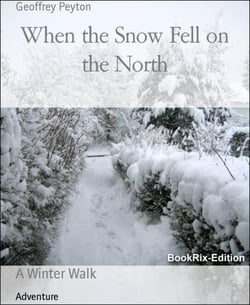 When the Snow Fell on the North - A Winter Walk