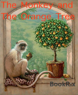 The Monkey and The Orange Tree - Le Sange
