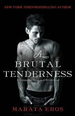 A Brutal Tenderness - A Companion Novel to A Terrible Love