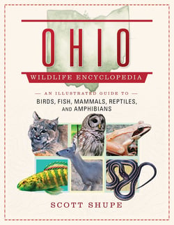 The Ohio Wildlife Encyclopedia - An Illustrated Guide to Birds, Fish, Mammals, Reptiles, and Amphibians