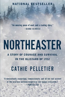 Northeaster - A Story of Courage and Survival in the Blizzard of 1952