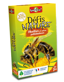 DEFIS NATURE ABEILLES ET AUTRES