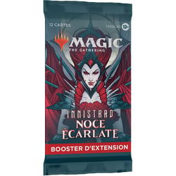 Magic the Gathering Set Booster