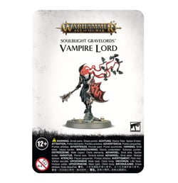 Soulblight Gravelords Vampire Lord - Warhammer Age of Sigmar