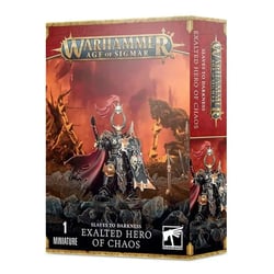 Slaves to Darkness Exalted Hero of Chaos - Warhammer Age of Sigmar