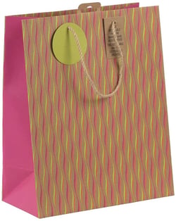 Sac cadeau - Taille L - Néon