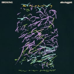 Birdsong