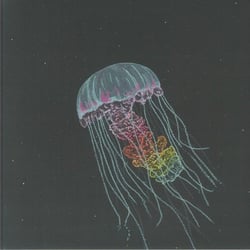 Passive Margins - édition 180g
