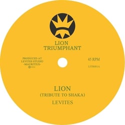 Lion (Tribute to Shaka)