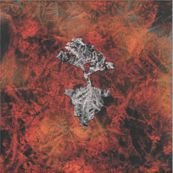 Shuriken Shock - Blossom