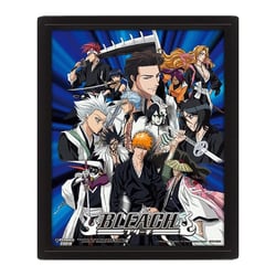 CADRE 3D LENTICULAIRE HEROES AND VILLAINS BLEACH