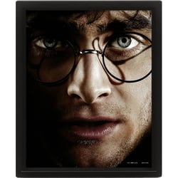 CADRE 3D LENTICULAIRE HARRY POTTER VOLDEMORT VISAGES