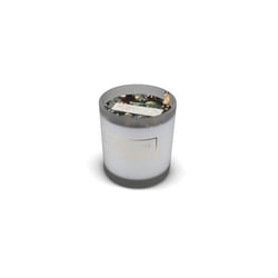 Bougie votive - Sapin - 45g