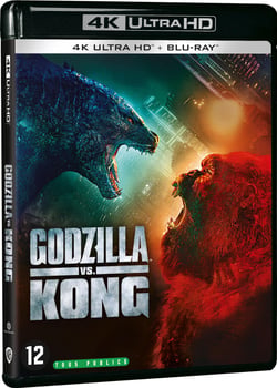Godzilla vs Kong
