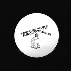Precarious - Precious