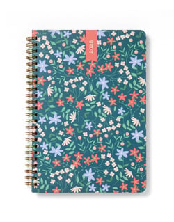 Agenda semainier 2026 Letts of London - Vert - A5 14,8 x 21 cm - Spring Valley