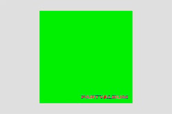 Party Album - édition colorée