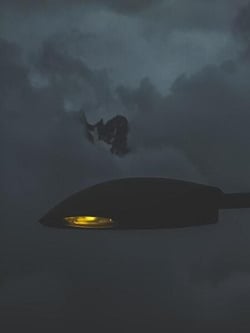 Hostile Aliens