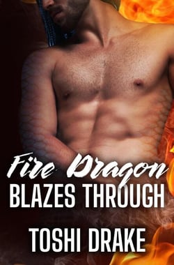 Fire Dragon Blazes Through - Elements of Dragons, #2