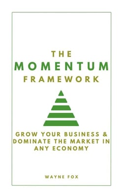 The Momentum Framework:  Grow Your Business &amp; Dominate The Market In Any Economy